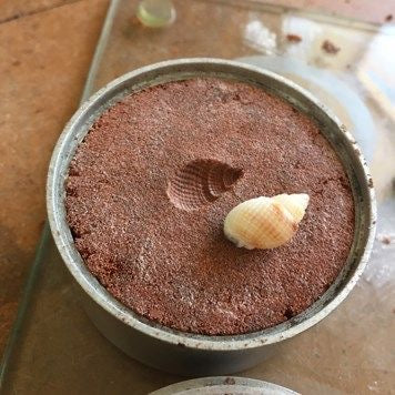 Arena de Fundición Ultra Fina 400 Mesh